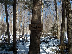Hpim0310.jpg