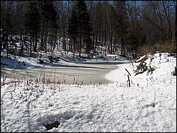 Hpim0315.jpg