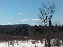 Hpim0323.jpg