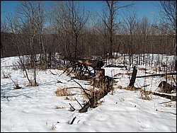 Hpim0329.jpg