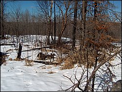 Hpim0330.jpg