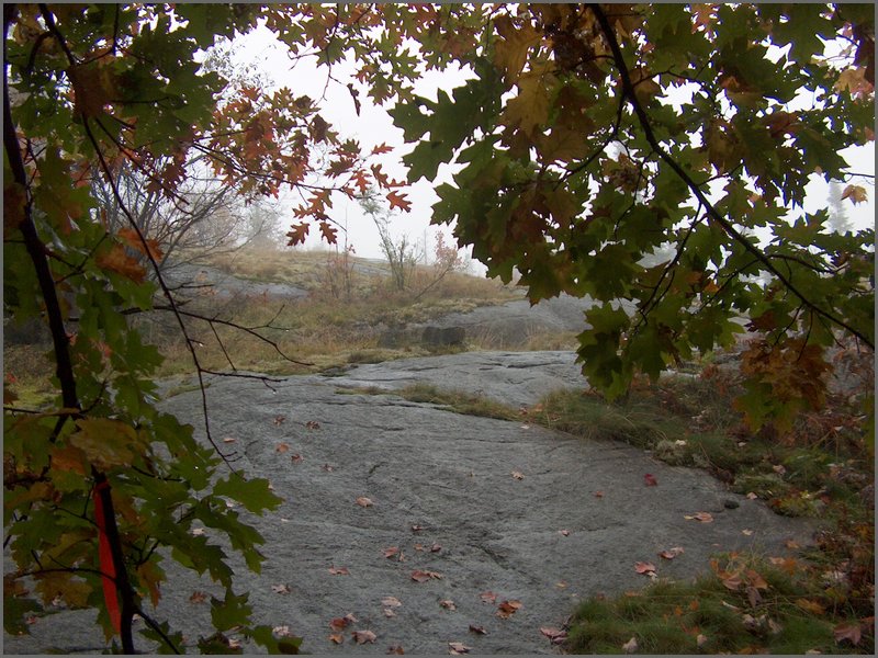 Thanksgiving 2007 17.JPG