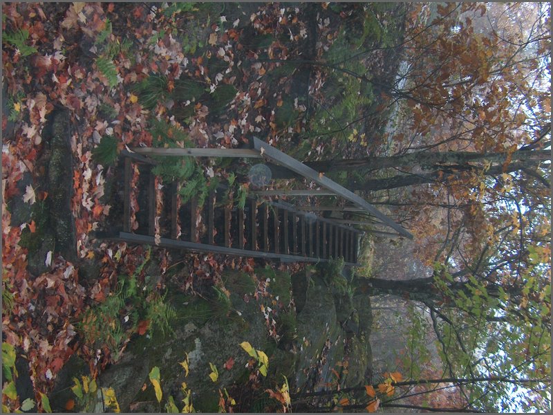 Thanksgiving 2007 57.JPG