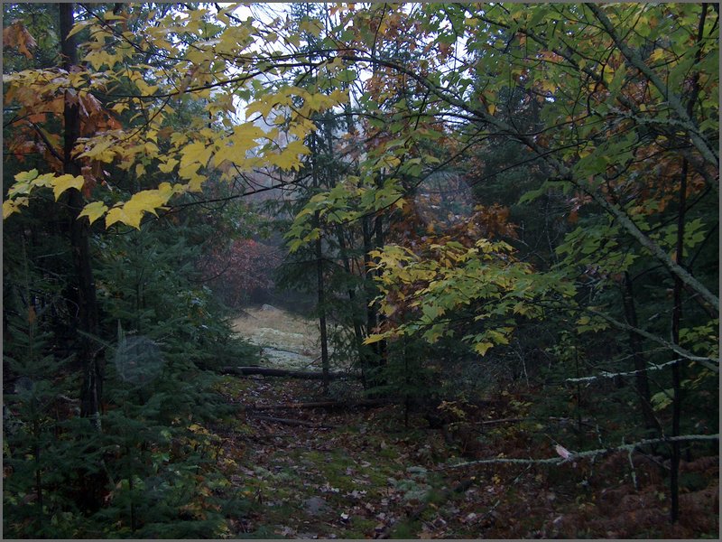 Thanksgiving 2007 70.JPG