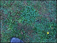 Thanksgiving 2007 05.JPG