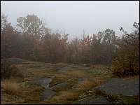 Thanksgiving 2007 19.JPG