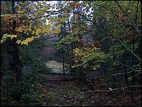 Thanksgiving 2007 70.JPG