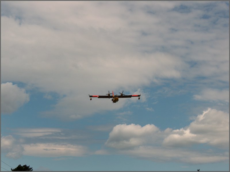 Trout Creek Fire 10.jpg