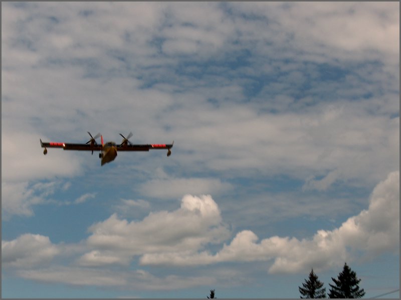 Trout Creek Fire 23.jpg
