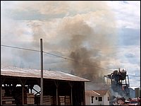 Trout Creek Fire 19.jpg