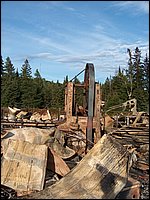 Trout Creek Fire 69.jpg