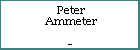 Peter Ammeter