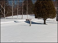 Hpim0207.jpg