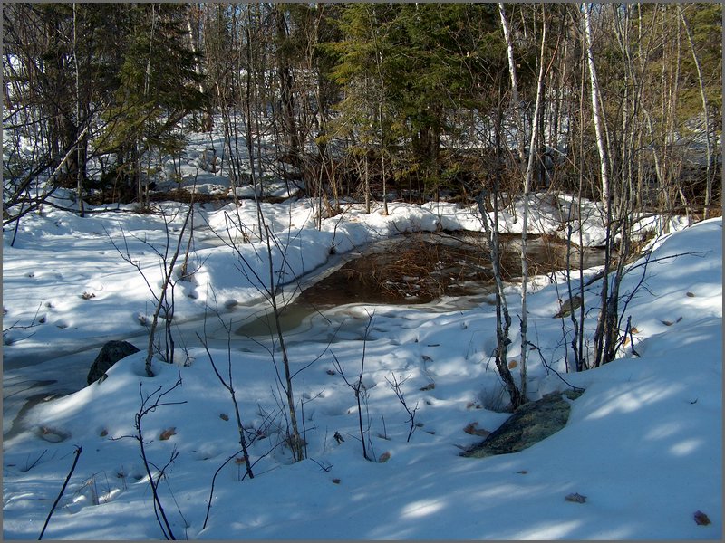 April 2006 19.jpg