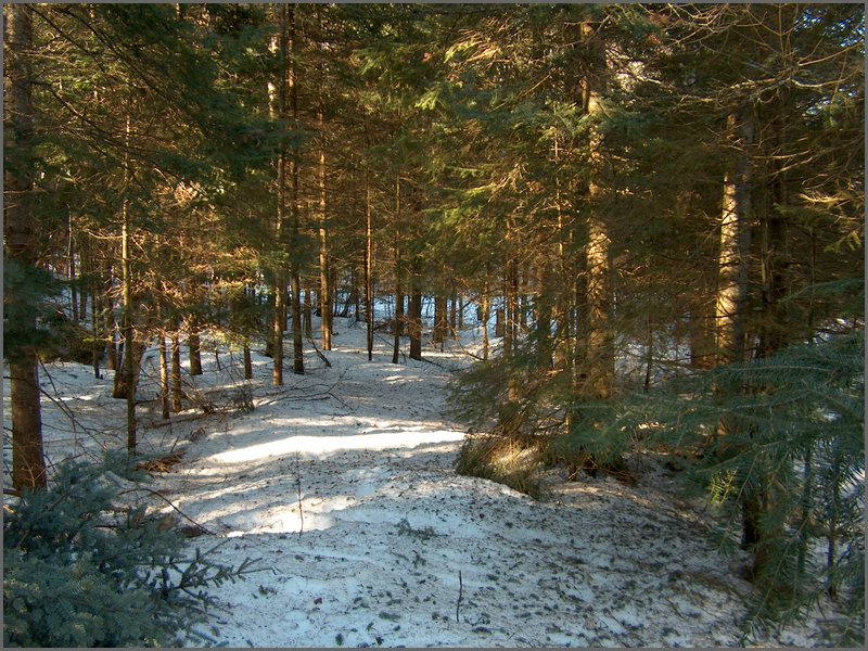 April 2006 30.jpg