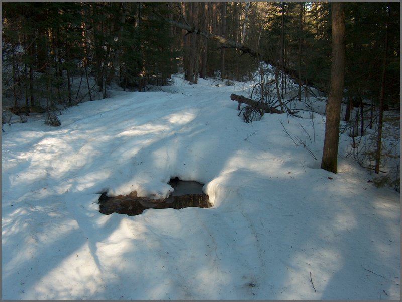 April 2006 35.jpg