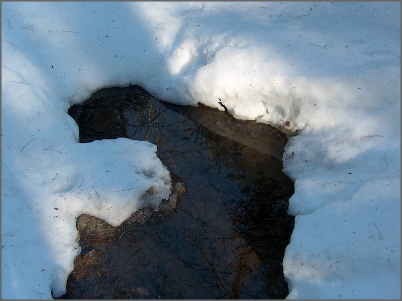 April 2006 36.jpg