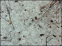 April 2006 02.jpg