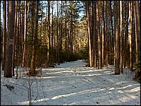 April 2006 03.jpg