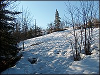 April 2006 06.jpg