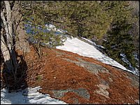 April 2006 17.jpg