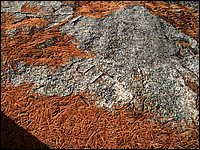 April 2006 18.jpg