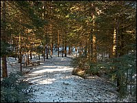 April 2006 30.jpg