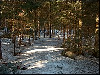 April 2006 31.jpg