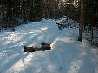 April 2006 35.jpg