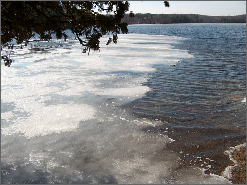 Wolfe Lake April 2006-05.jpg