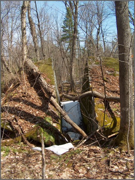 Wolfe Lake April 2006-17.jpg