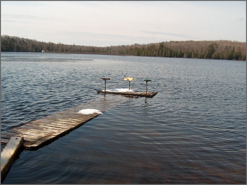 Wolfe Lake April 2006-40.jpg