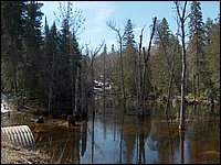 Wolfe Lake April 2006-02.jpg