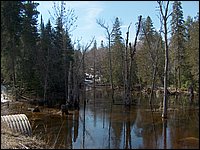 Wolfe Lake April 2006-02.jpg