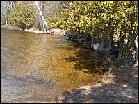 Wolfe Lake April 2006-08.jpg