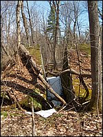 Wolfe Lake April 2006-17.jpg