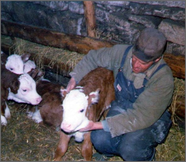Stanley_&_Calves.jpg