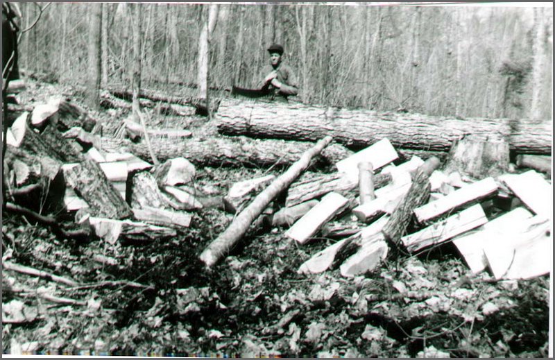 Stanley_&_Crosscut_Saw.jpg