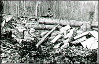 Stanley_&_Crosscut_Saw.jpg