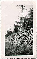 Stanley_&_Irma_On_Woodpile.jpg
