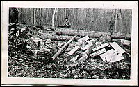 Stanley_Cutting_Wood_1947.jpg