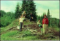 Blueberry_Picking.jpg