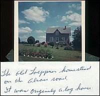 Old_Toeppner_Homestead.jpg
