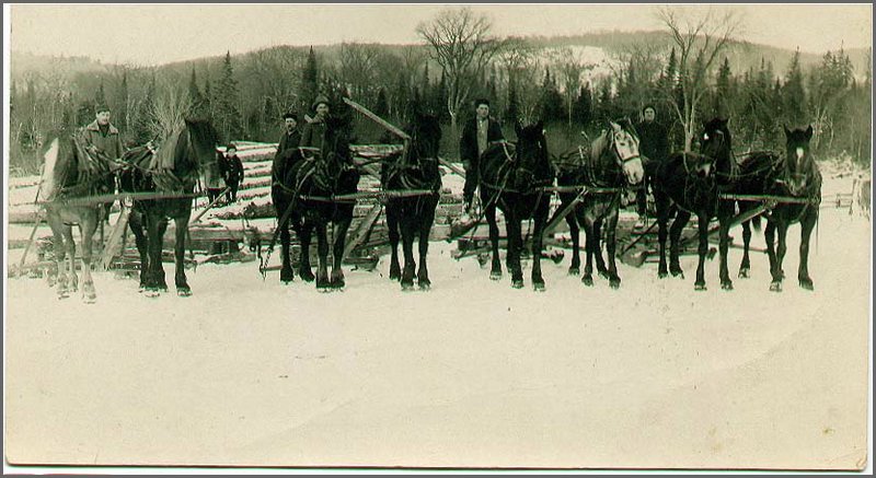 Storie_Logging_Crew_(Walter&Herb).jpg