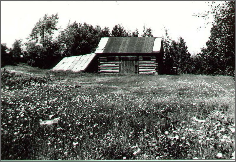 Toeppner_Homestead.jpg