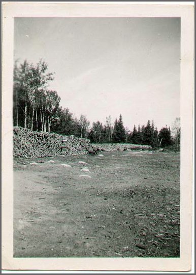 Wood_Piles.jpg