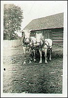 Team_Of_Horses.jpg