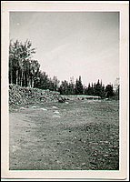 Wood_Piles.jpg