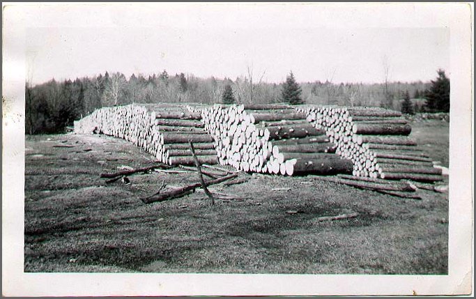 Log_Piles.jpg