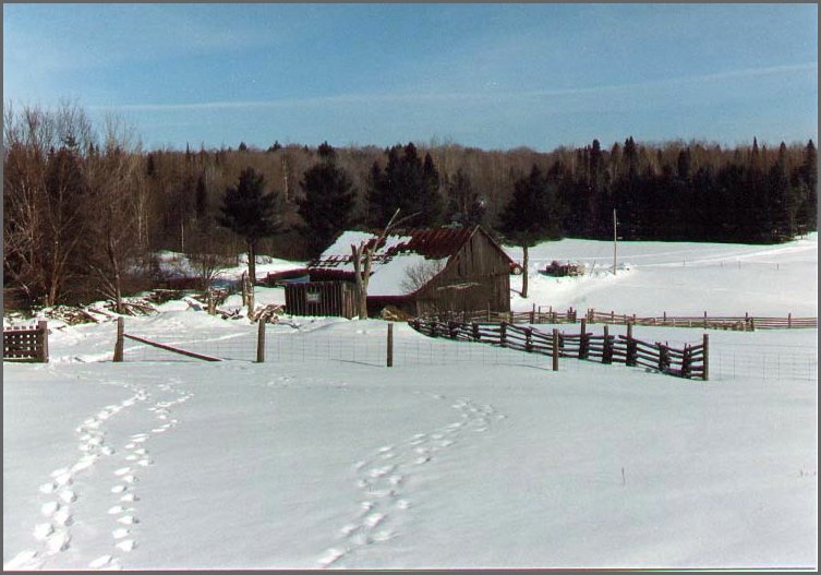 Barn_Jan_88.jpg